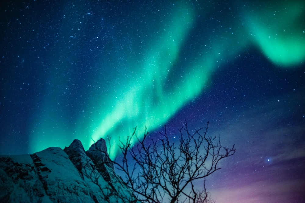 Afternoon at Tromsö