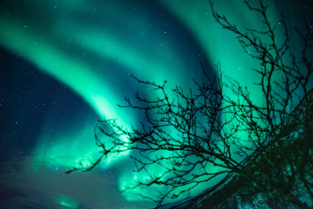 Noon at Tromsö